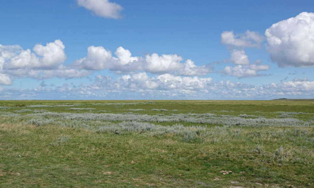 Kwelders Noordpolder
