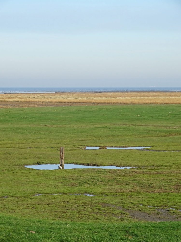 Kwelders Noordpolder