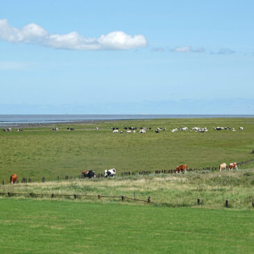 Noard-Fryslan-Butendyks