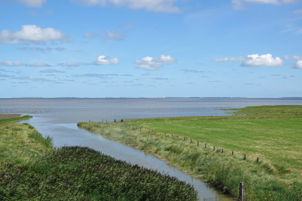 Kwelders en graslanden bij Zwarte Haan (Bildtpollen)