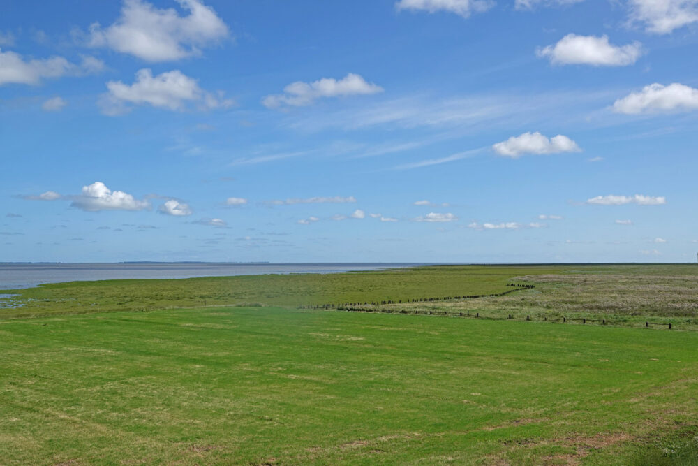 Kwelders en graslanden bij Zwarte Haan (Bildtpollen)
