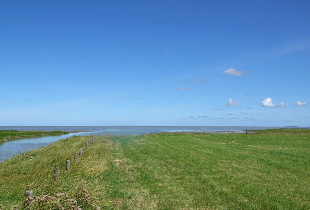 Kwelders en graslanden bij Zwarte Haan (Bildtpollen)