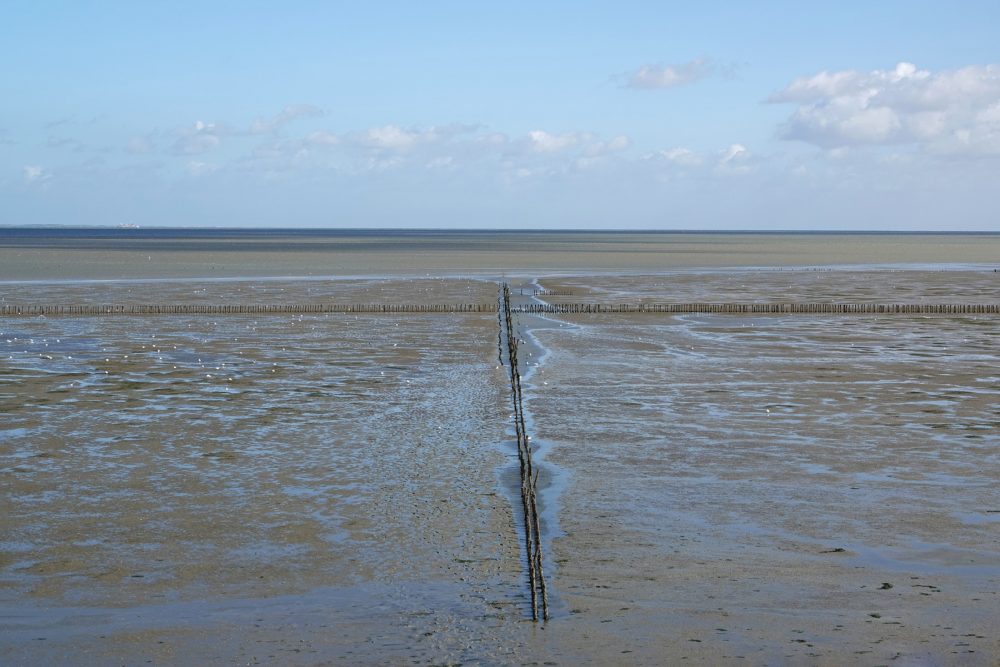 Kwelders wad Emmapolder