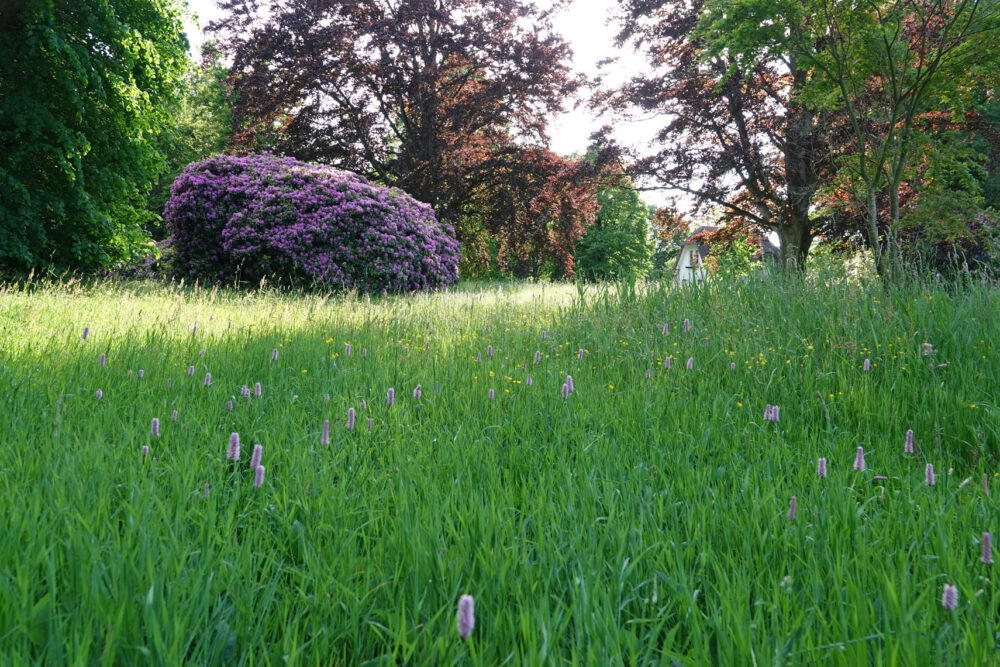 Landgoed De Braak