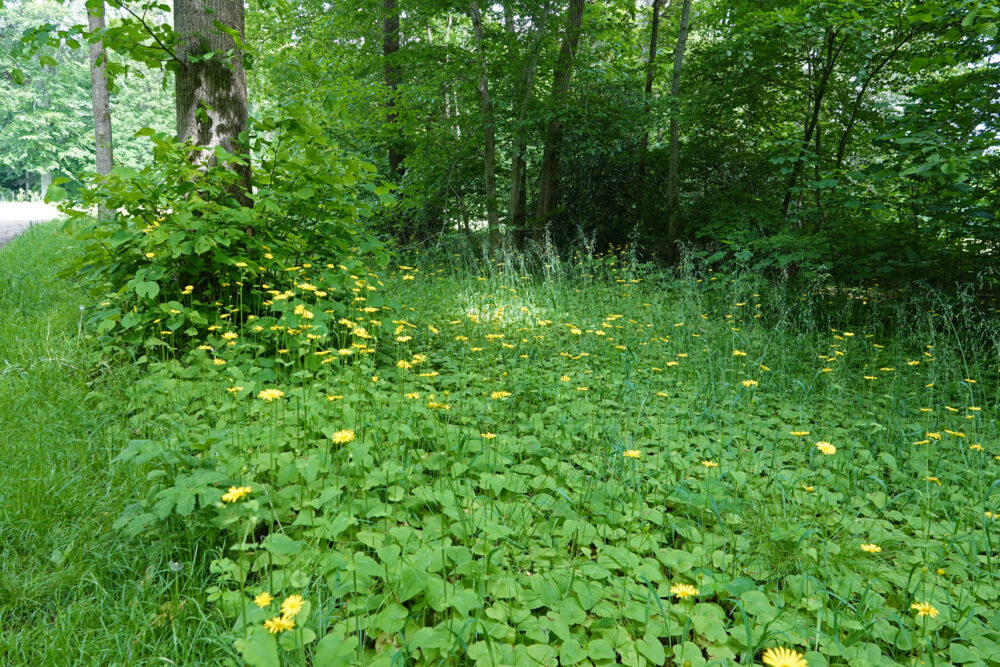 Landgoed De Braak