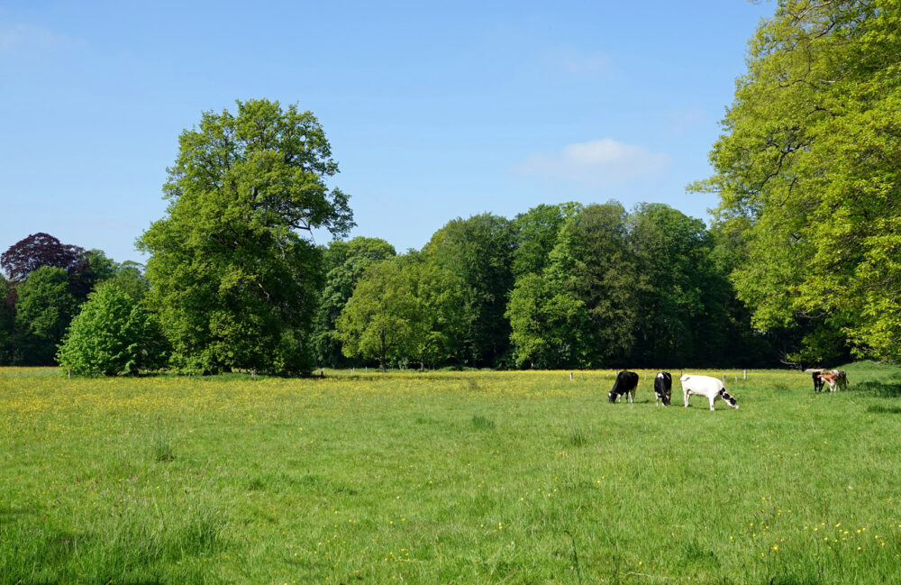 Landgoed De Braak