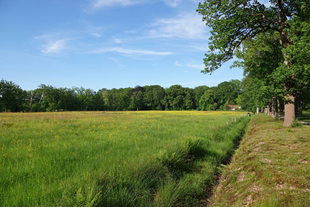 Landgoed De Braak