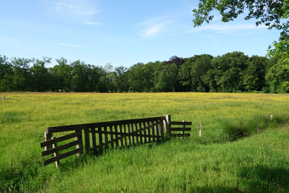 Landgoed De Braak