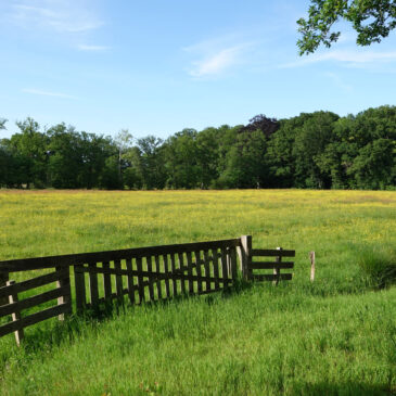 Landgoed De Braak