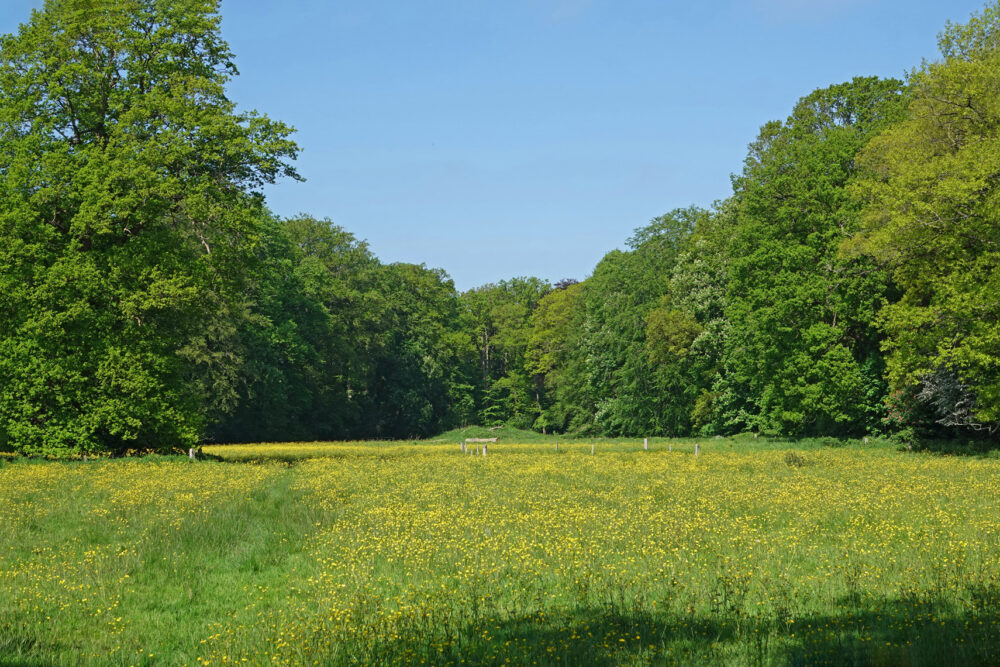 Landgoed De Braak