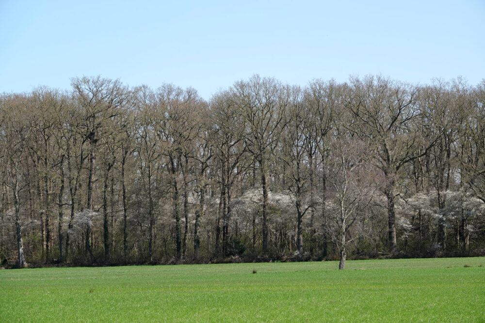 Landgoed De Haere
