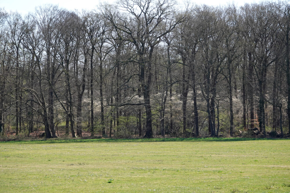 Landgoed De Haere