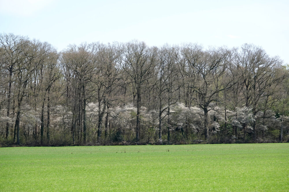 Landgoed De Haere