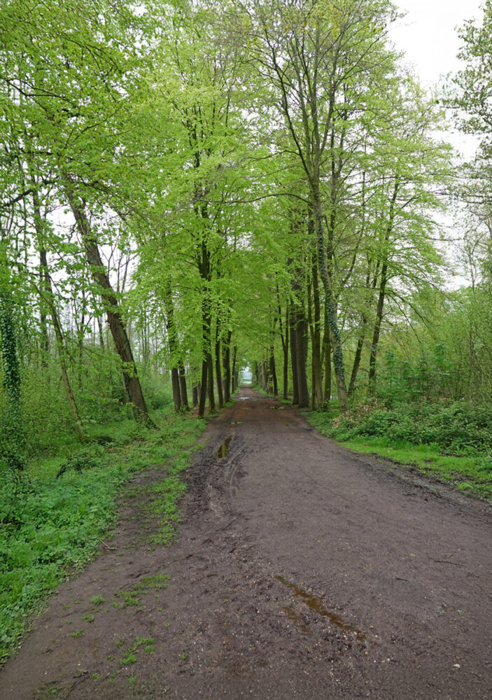 Landgoed Middachten