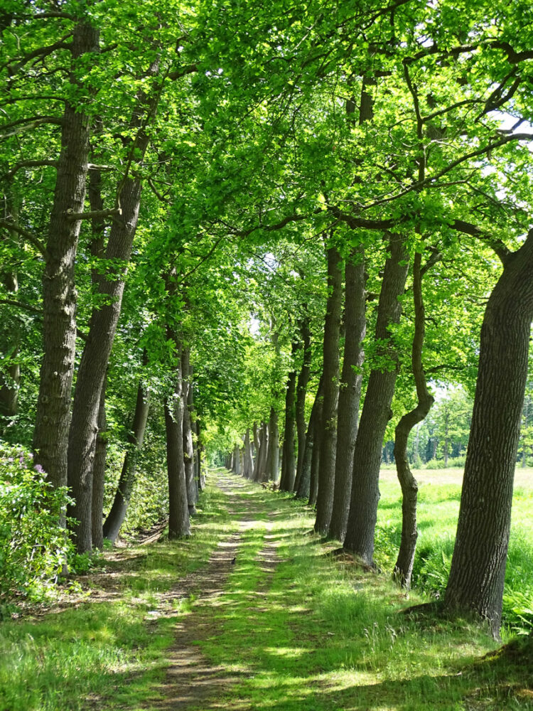 Landgoed Vennebroek