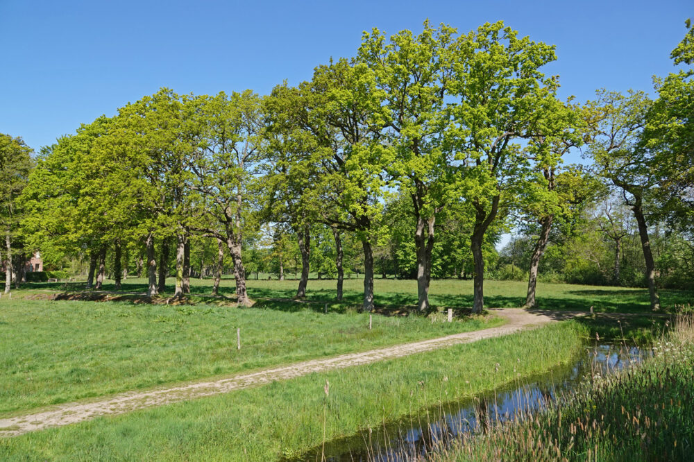 Landgoed Vennebroek