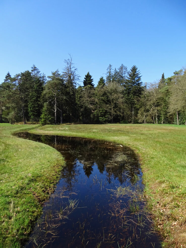 Landgoed Vosbergen