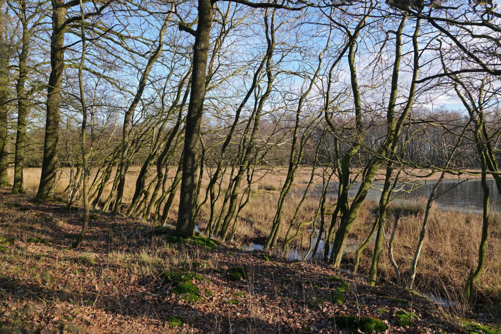 Landgoed Vossenberg