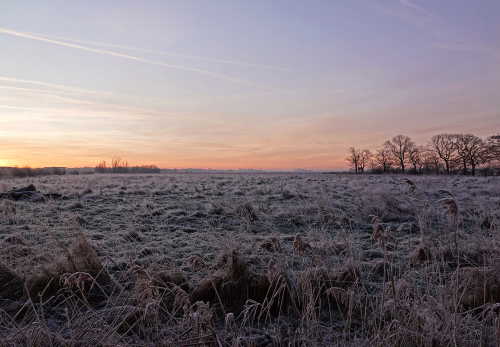 Lang het Eelderdiep in de winter