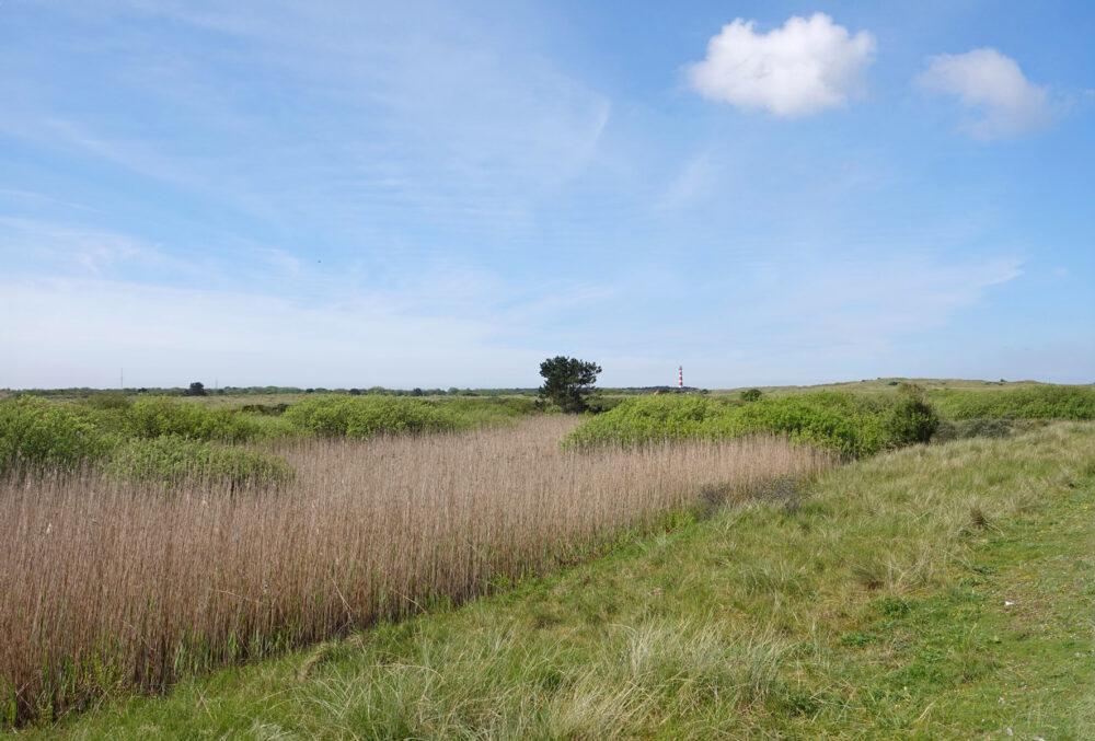 Lange Duinen (Ameland)