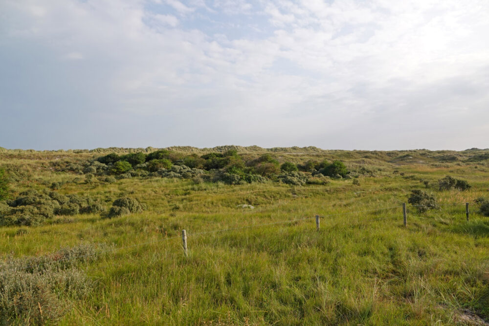 Lange Duinen (Ameland)
