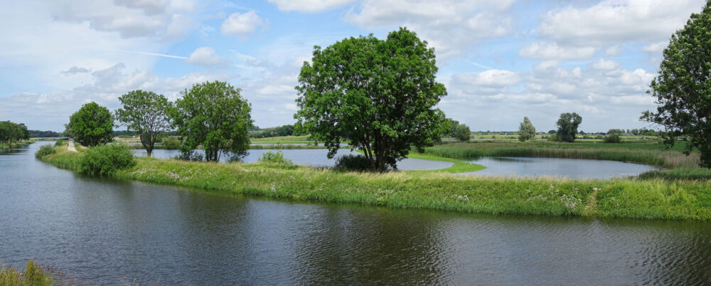 Langs de IJssel bij Hattem (Hoenwaard)