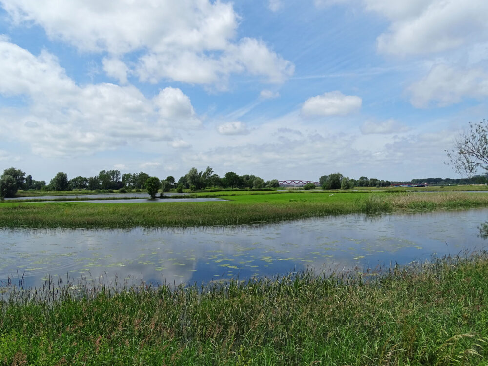 Langs de IJssel bij Hattem (Hoenwaard)