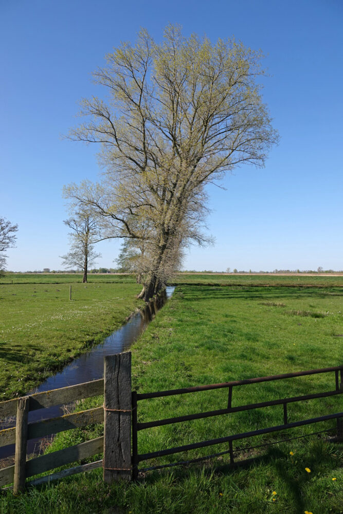 Langs de blauwvennen (Onlanden)
