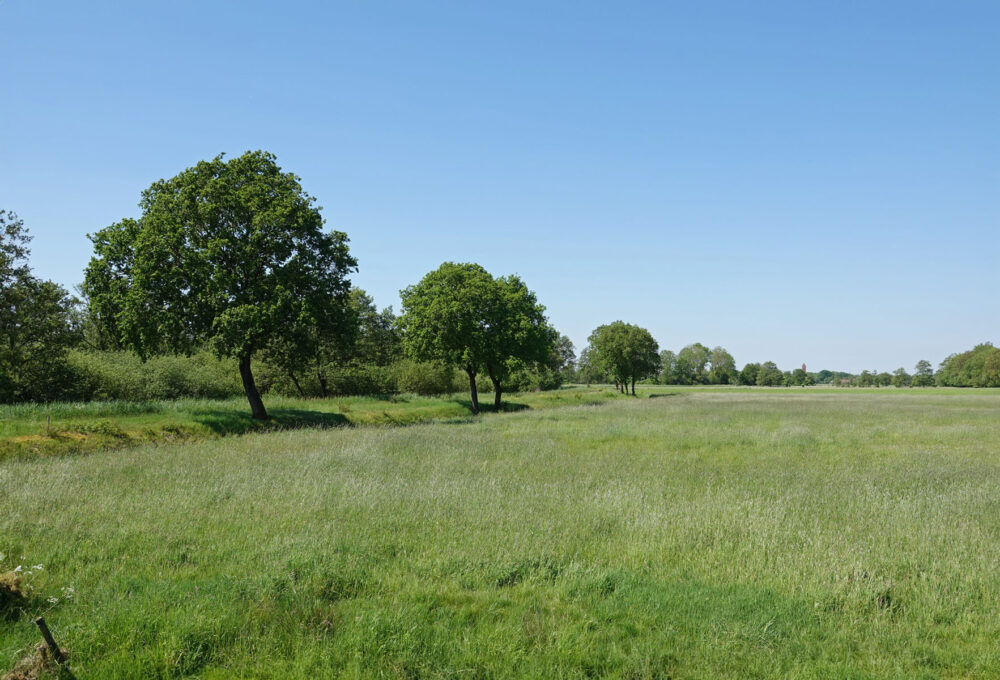 Langs de noordwest rand van de Onlanden