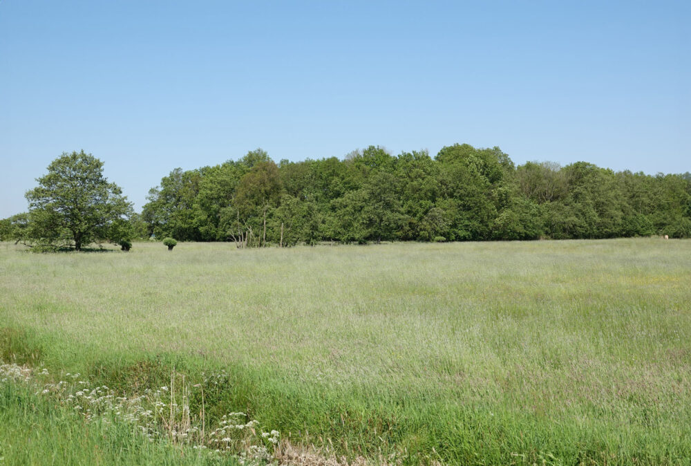 Langs de noordwest rand van de Onlanden