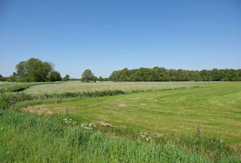 Langs de noordwest rand van de Onlanden