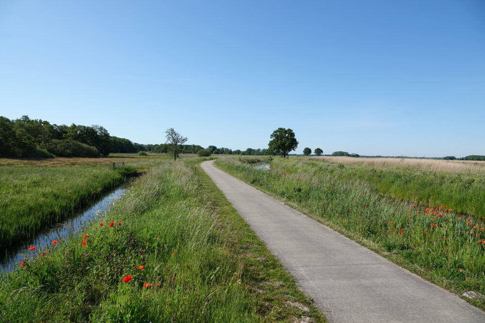 Langs de rand van de Onlanden