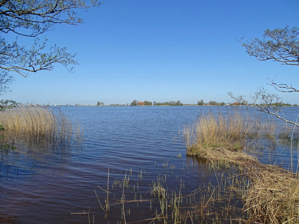 Langwarder Wielen