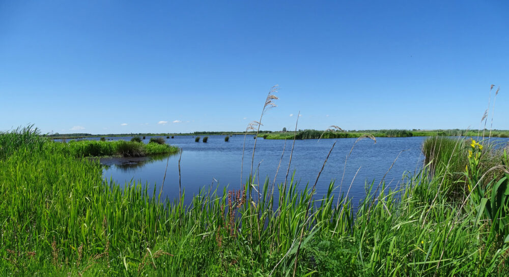 Leekstermeer ()
