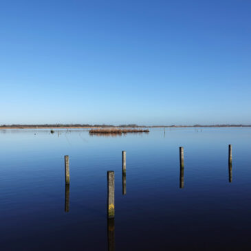 Leekstermeer (Onlanden)