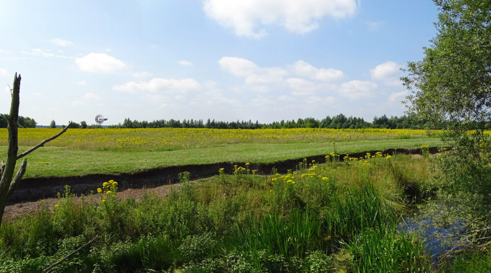 Leinwijk (Zuidlaardermeer)