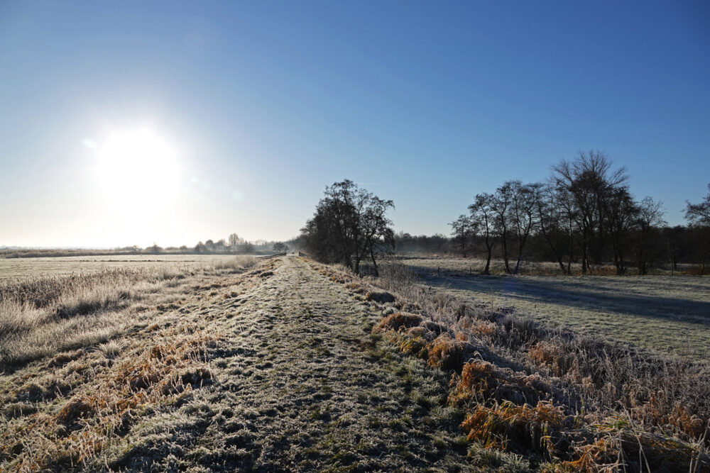 Lettelberter Petten in de winter (Onlanden)