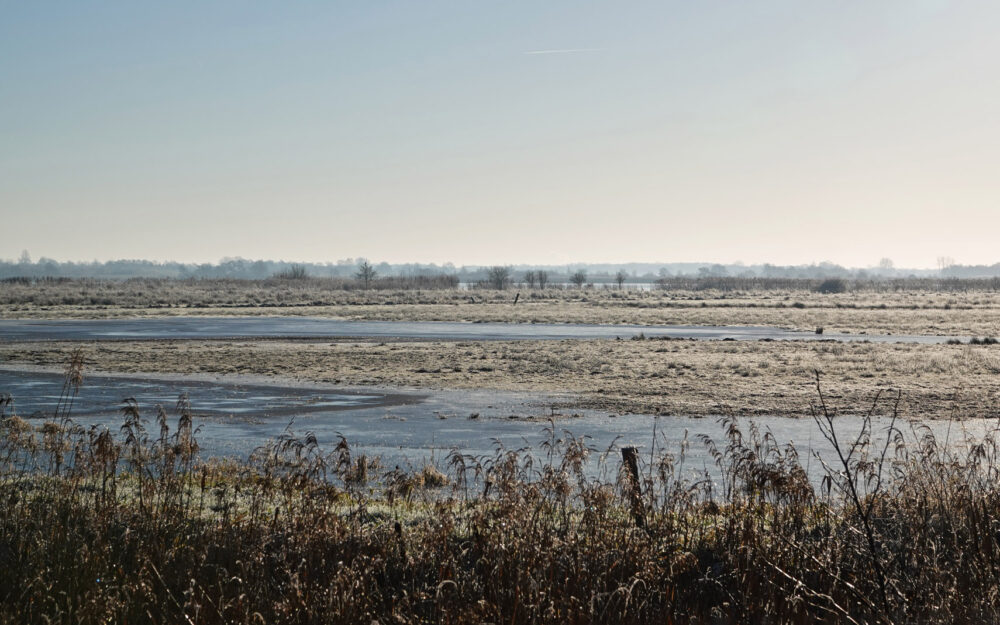 Lettelberter Petten in de winter (Onlanden)