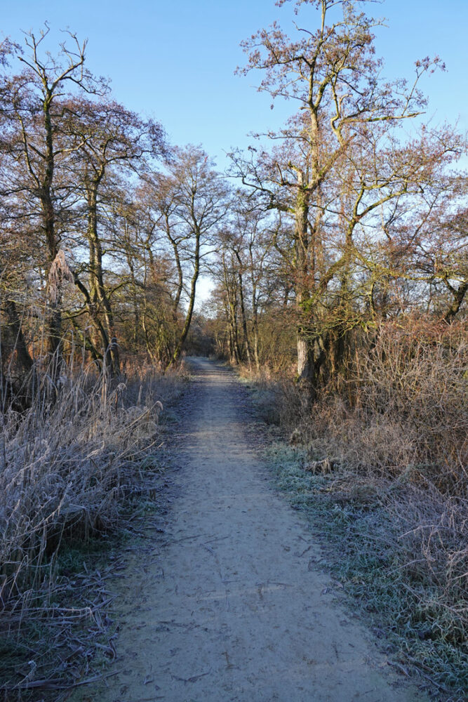 Lettelberter Petten in de winter (Onlanden)