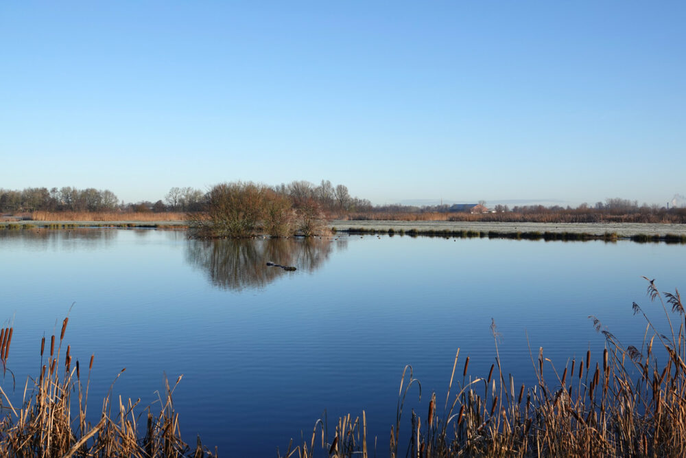 Lettelberter Petten in de winter (Onlanden)