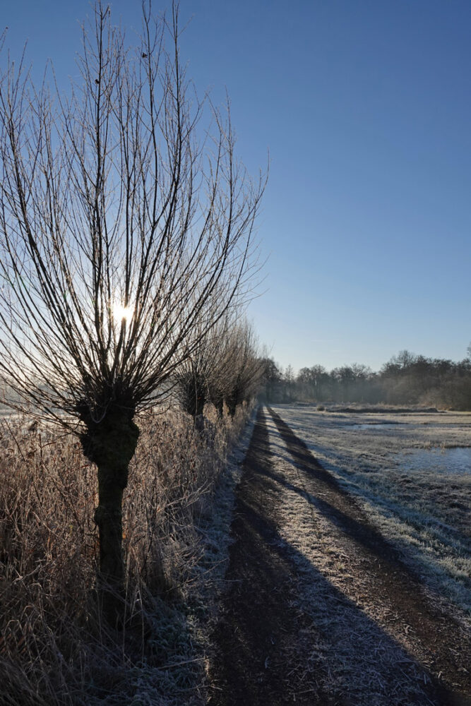 Lettelberter Petten in de winter (Onlanden)
