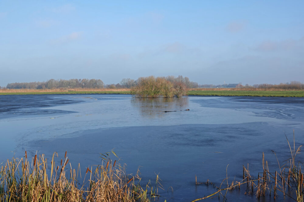 Lettelberterpetten (Onlanden)