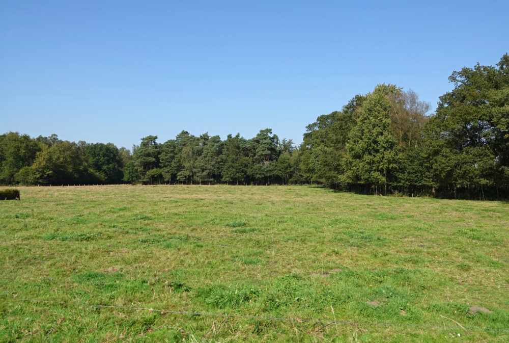 Leusveld