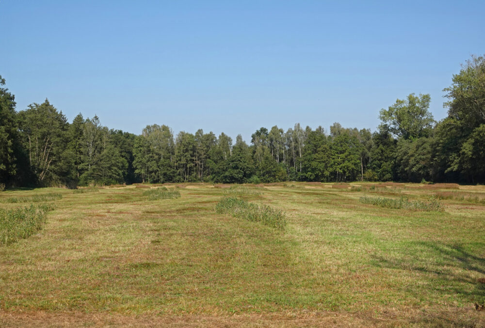Leusveld