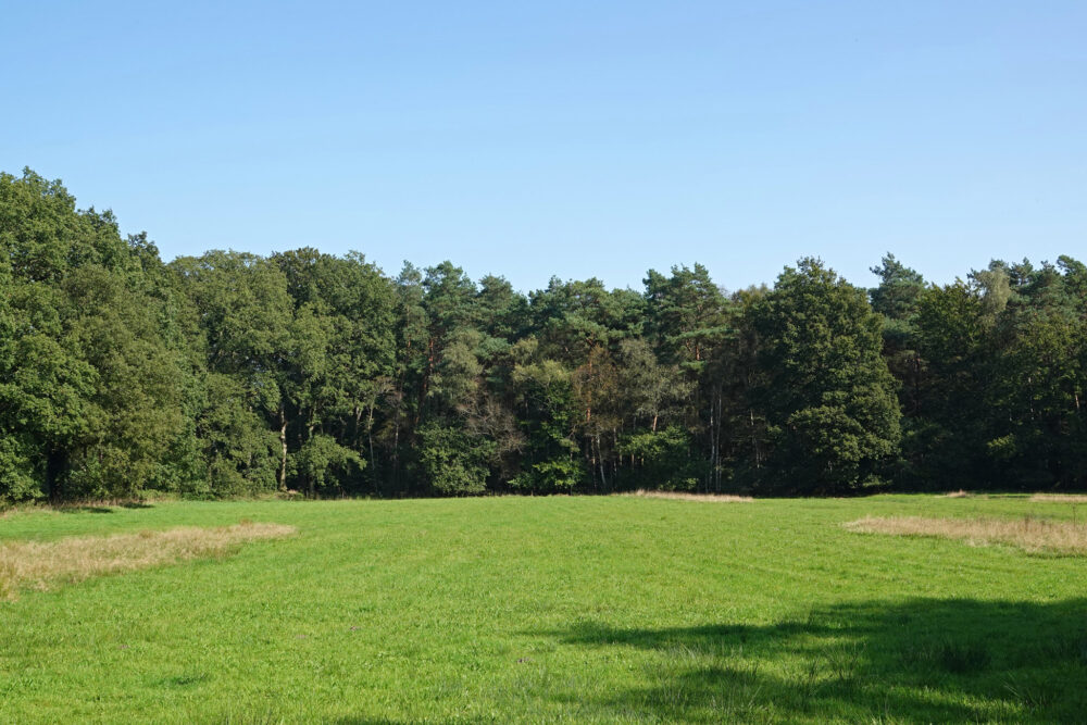 Leusveld