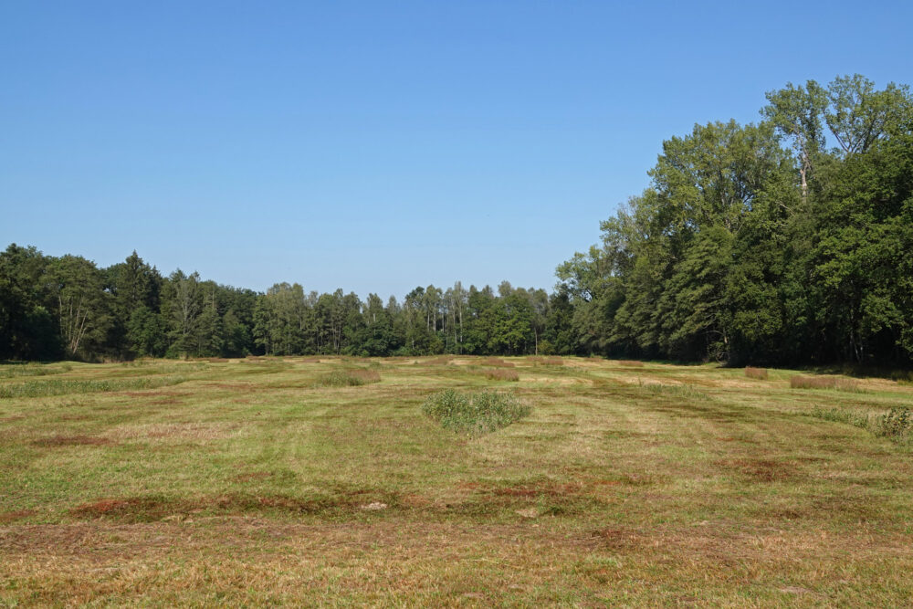 Leusveld