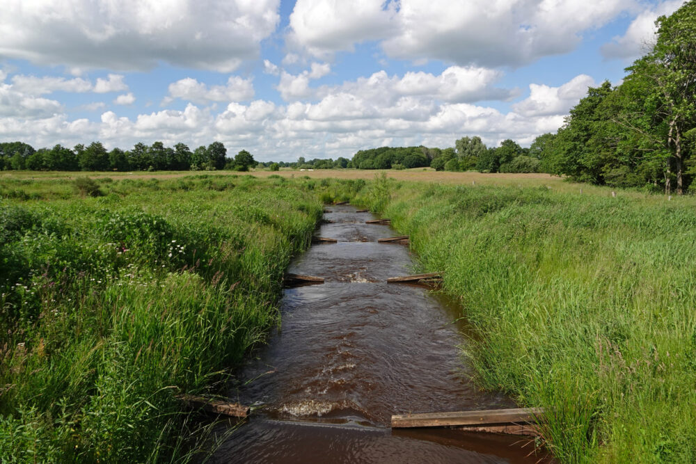 Vistrap in Lieversche Diep