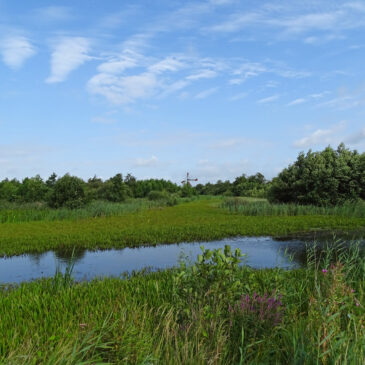 Lindevallei (Friesland)