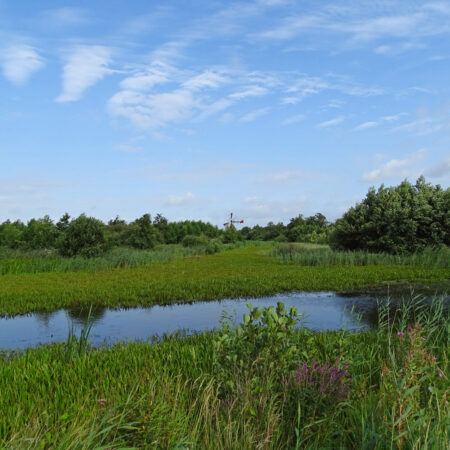 Lindevallei (Friesland)