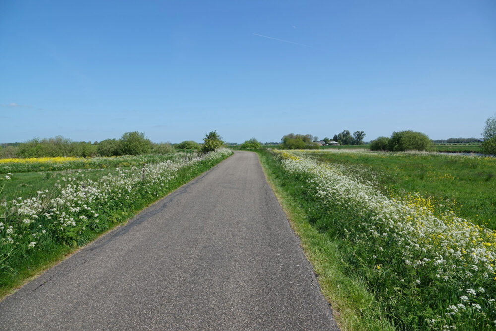 Lindedijk (Rottige Meente)
